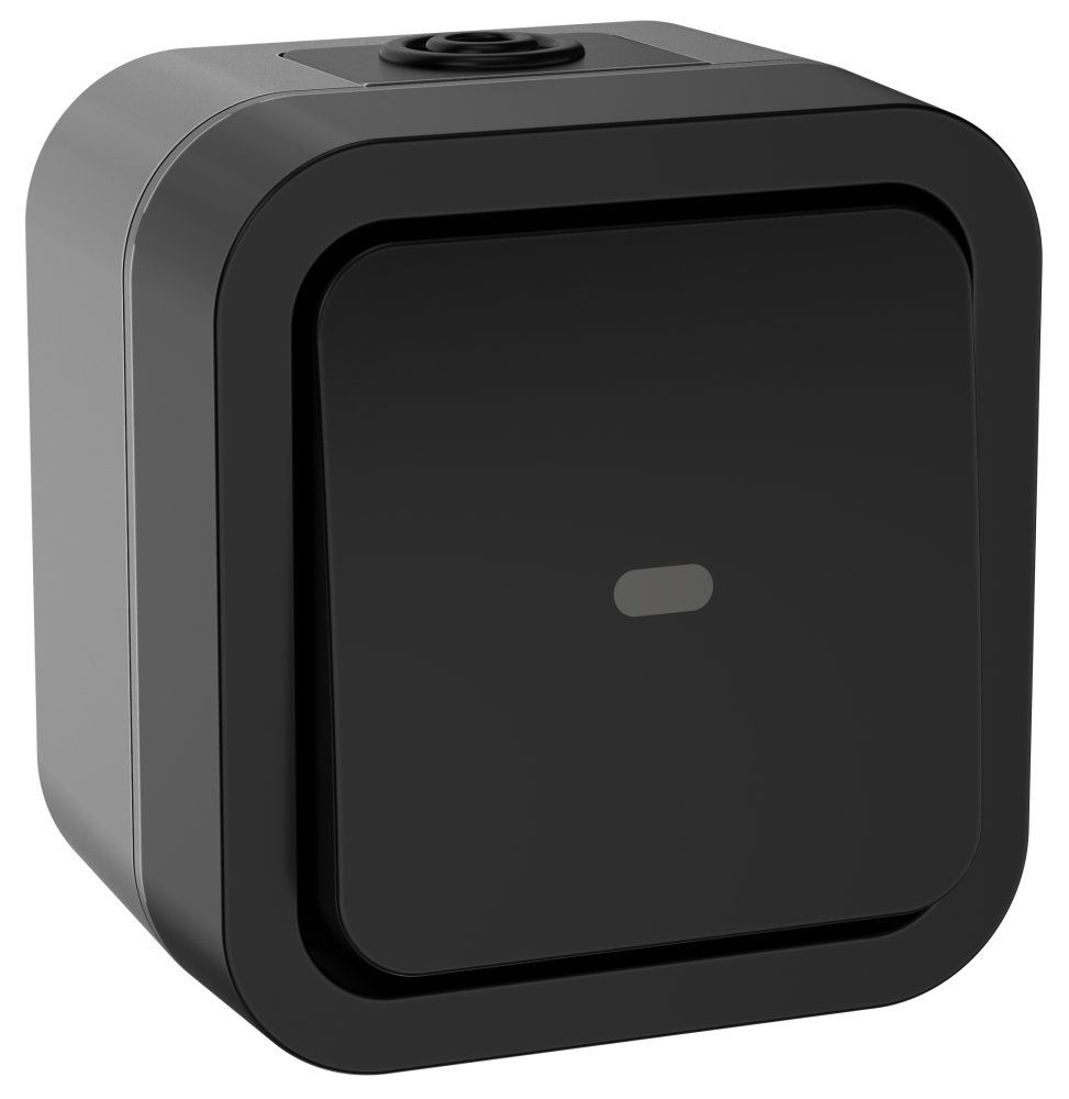 TORS Переключатель одноклавишный с индикацией 10А IP55 TS102 графит IEK